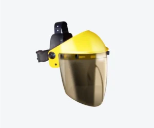 Protector Facial 2020HBE